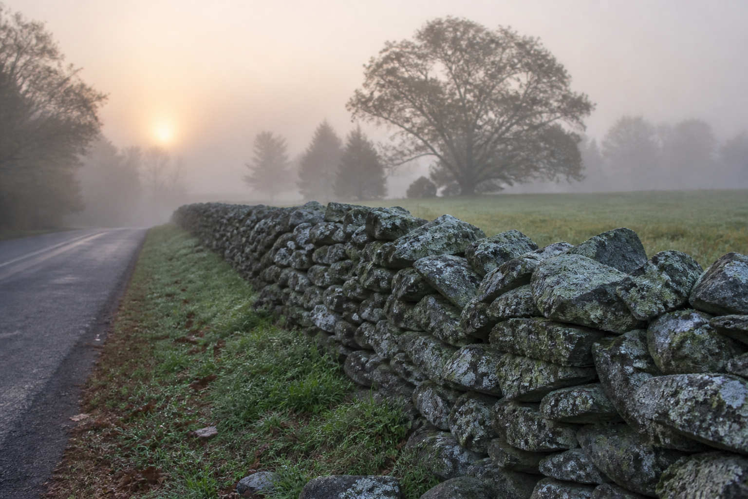 Fieldstone wall in mist